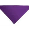 Pañoletas personalizadas para fiestas
