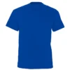 Camiseta cuello en pico UNISEX personalizada