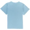 camiseta oversize vintage unisex personalizada glacier lake detrás